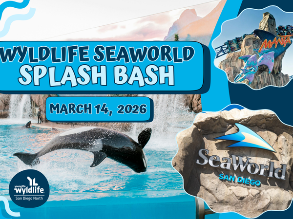 Camp Trip Image - WyldLife Seaworld 2026